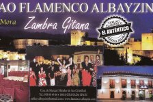 543 granada flamenco show